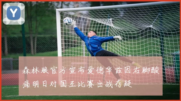 森林狼官方宣布爱德华兹因右脚酸痛明日对国王比赛出战存疑